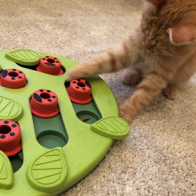 Nina Ottosson Puzzle & Play Buggin Out Groen kattenspeelgoed 35x26x4 cm