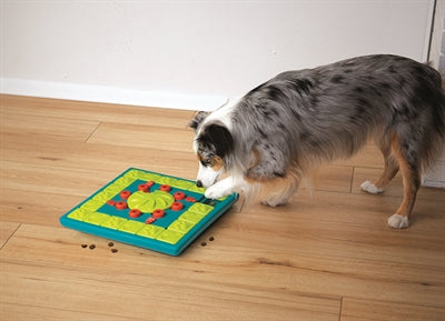 Nina Ottosson Multipuzzle Blu hondenspeelgoed 38x38x5 cm