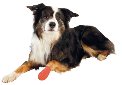Trixie Verband Met Bitterstoffen Assorti vachtverzorging hond 5 cm X4,5 Mtr 27 st