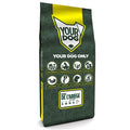 YOURDOG BRAQUE DE L'ARIEGE VOLWASSEN 12 KG