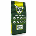 YOURDOG PETIT BLEU DE GASCOGNE SENIOR 12 KG