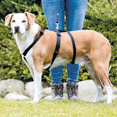Trixie Hondentuig Stay Zwart hondenhalsband hondenriem nylon