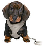 Trixie Junior Puppytuig Soft Met Riem Lichtgrijs hondenhalsband hondenriem 26-34x1 cm / 2 Mtr