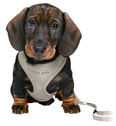 Trixie Junior Puppytuig Soft Met Riem Lichtgrijs hondenhalsband hondenriem 26-34x1 cm / 2 Mtr