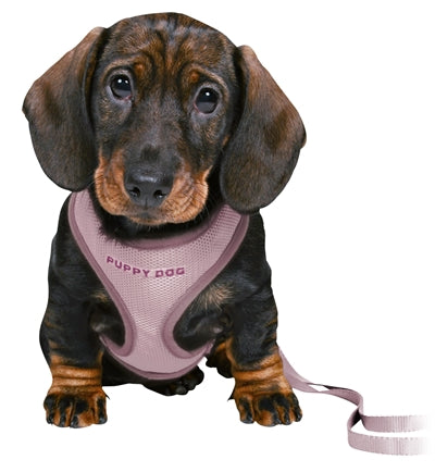 Trixie Junior Puppytuig Soft Met Riem Lila hondenhalsband hondenriem 26-34x1 cm / 2 Mtr