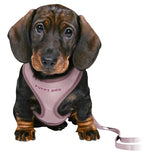 Trixie Junior Puppytuig Soft Met Riem Lila hondenhalsband hondenriem 26-34x1 cm / 2 Mtr