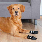 Trixie Hondensokken Anti-slip Met Rubberlaag Rondom Zwart hondenkleding