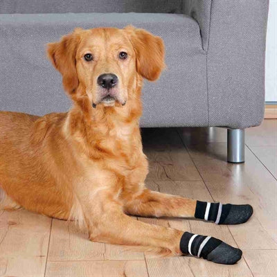 Trixie Hondensokken Anti-slip Met Rubberlaag Rondom Zwart hondenkleding