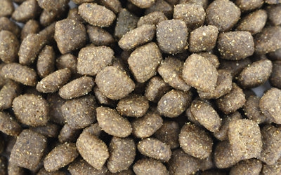 i am Mini Rund Truffle hondenkoekjes 300 gr