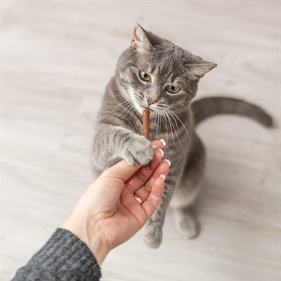 Trixie Premio Stick Quintett Zalm / Forel kattensnacks zacht 5x5 gr