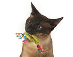 Catstages Catnip Dental Health Chew kattenspeelgoed