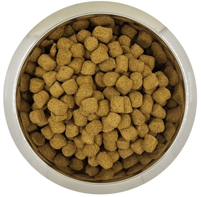 YOURDOG KONINGSPOEDEL SENIOR 12 KG