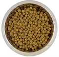 YOURDOG DWERG- OF TOYPOEDEL SENIOR 12 KG
