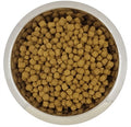 YOURDOG DWERG- OF TOYPOEDEL VOLWASSEN 12 KG