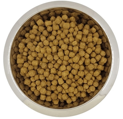 YOURDOG DWERG- OF TOYPOEDEL VOLWASSEN 12 KG