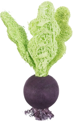 Trixie Speelbal Set Biet / Aardbei Hout / Loofah knaagdierspeelgoed 6/9 cm