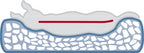 Trixie Vital Hondenkussen Bendson Orthopedisch Grijs hondenmand