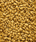 Nutribird P15 Original Onderhoudsvoeder vogelvoer zaden