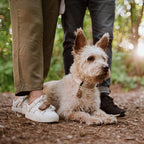 Tickless Eco Teek en Vlo Afweer Voor Mensen Bruin bestrijdingsartikelen