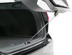Trixie Carcooler om de Kofferbak Open te Houden Lang Grijs outdoor 40 cm