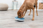 Trixie Slowfeeding Rocking Bowl Kunststof / TPR Grijs / Blauw voerbak hond 23x23 cm 500 ml