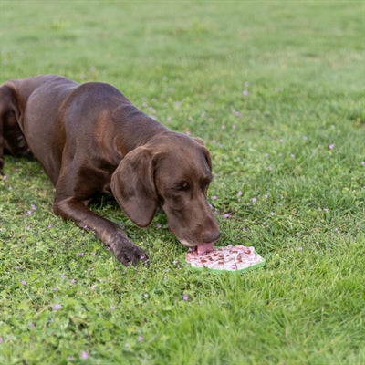 Trixie Lick'n'snack Mat Met Zuignappen Siliconen Salie voerbak hond 17 cm