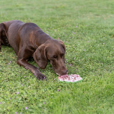 Trixie Lick'n'snack Mat Met Zuignappen Siliconen Salie voerbak hond 17 cm