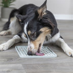 Trixie Lick'n'snack Mat Siliconen Lichtgrijs voerbak hond 20x20 cm