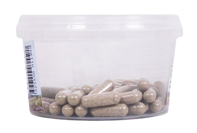 Dierendrogist Echinacea Bio Capsules voedingssupplement hond 50 st