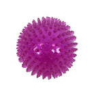 Zolux Pop TPR Stekelbal Roze hondenspeelgoed 8x8X8 cm