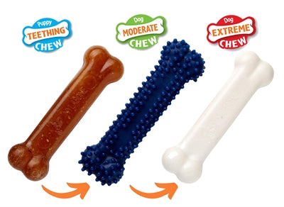 Nylabone Puppy Chew Puppy Starter Kit Chicken hondenspeelgoed Tot 11 kg