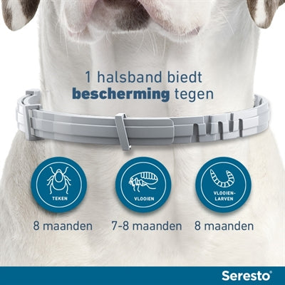 SERESTO TEKEN- EN VLOOIENBAND HOND VANAF 8 KG 70 CM 2 ST