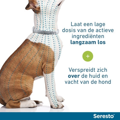 SERESTO TEKEN- EN VLOOIENBAND HOND VANAF 8 KG 70 CM 2 ST