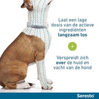 SERESTO TEKEN- EN VLOOIENBAND HOND VANAF 8 KG 70 CM 2 ST
