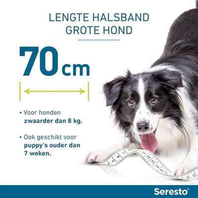 SERESTO TEKEN- EN VLOOIENBAND HOND VANAF 8 KG 70 CM 2 ST