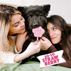 Smoofl Ijsmix Voor Honden Aardbei hondensnacks hard 160 gr