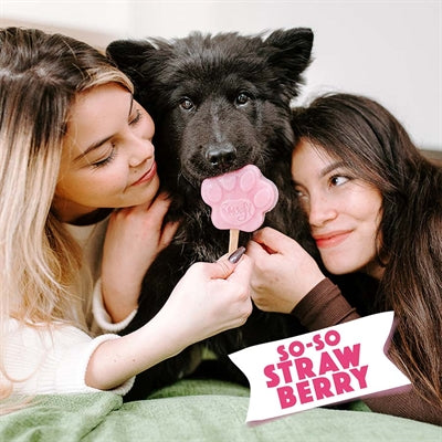 Smoofl Ijsmix Voor Honden Aardbei hondensnacks hard 160 gr