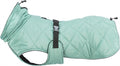TRIXIE CITYSTYLE BE ECO HONDENJAS OSLO GERECYCLED JADE GROEN 36 CM