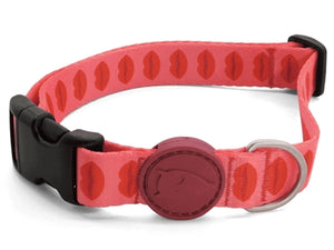 Morso Halsband Gerecycled hondenhalsband hondenriem nylon
