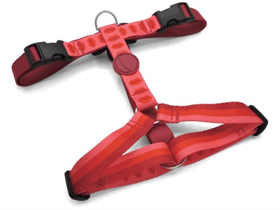 Morso Hondentuig H-tuig Gerecycled hondenhalsband hondenriem nylon