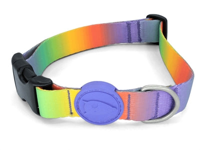Morso Halsband Gerecycled hondenhalsband hondenriem nylon
