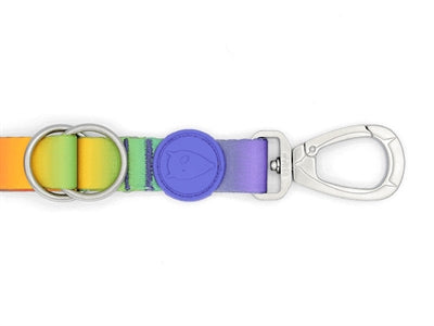Morso Hondenriem Verstelbaar Gerecycled Spring Blossom hondenhalsband nylon