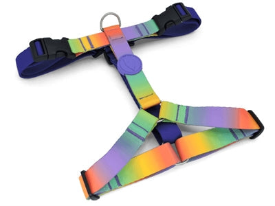 Morso Hondentuig H-tuig Gerecycled hondenhalsband hondenriem nylon