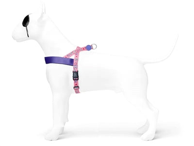 Morso Norwegian Hondentuig Gerecycled Sweet Tweet Roze hondenhalsband hondenriem nylon