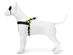 Morso Norwegian Hondentuig Gerecycled Full Metal Dog Bruin hondenhalsband hondenriem nylon