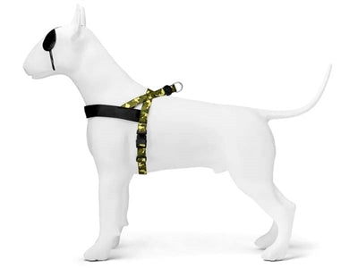 Morso Norwegian Hondentuig Gerecycled Full Metal Dog Bruin hondenhalsband hondenriem nylon