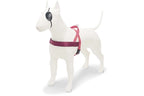 Morso Norwegian Hondentuig Gerecycled Pink Think Roze hondenhalsband hondenriem nylon