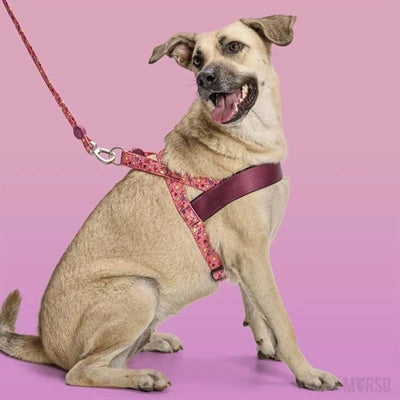 Morso Norwegian Hondentuig Gerecycled Pink Think Roze hondenhalsband hondenriem nylon