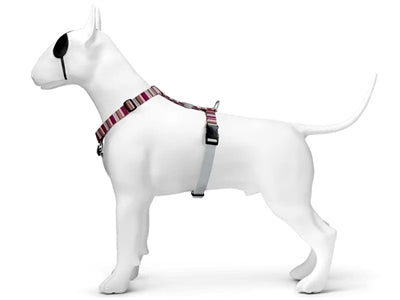 Morso Hondentuig H-tuig Gerecycled Skyline Rood / Roze hondenhalsband hondenriem nylon