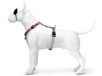 Morso Hondentuig H-tuig Gerecycled Skyline Rood / Roze hondenhalsband hondenriem nylon